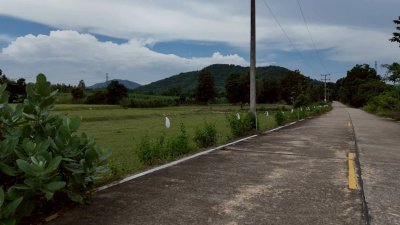 ที่ดินโฉนด หน้ากว้างติดถนนคอนกรีตเนื้อที่ 4 ไร่ ไร่ละ 350,000 บาท