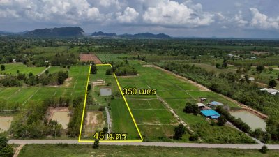 ที่ดินติดถนนลาดยางปรับถมพื้นที่ปลูกสร้างบ้าน ไร่ละ 320,000