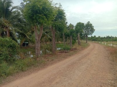 ขายบ้านสวน วิวภูเขา 7 ไร่ 3 งาน 89 ตร.วา ขายบ้านสวน วิวภูเขา 7 ไร่ 3 งาน 89 ตร.วา