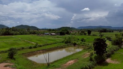 ที่ดินติดถนนลาดยางปรับถมพื้นที่ปลูกสร้างบ้าน ไร่ละ 320,000 ที่ดินติดถนนลาดยางปรับถมพื้นที่ปลูกสร้างบ้าน ไร่ละ 320,000