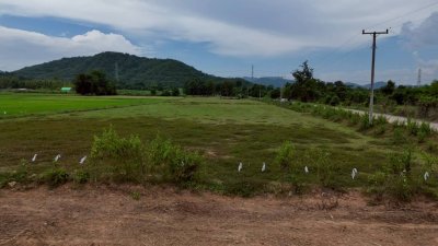 ที่ดินโฉนด หน้ากว้างติดถนนคอนกรีตเนื้อที่ 4 ไร่ ไร่ละ 350,000 บาท ที่ดินโฉนด หน้ากว้างติดถนนคอนกรีตเนื้อที่ 4 ไร่ ไร่ละ 350,000 บาท