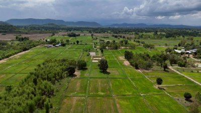 ที่ดินติดถนนลาดยางปรับถมพื้นที่ปลูกสร้างบ้าน ไร่ละ 320,000 ที่ดินติดถนนลาดยางปรับถมพื้นที่ปลูกสร้างบ้าน ไร่ละ 320,000