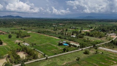 ที่ดินติดถนนลาดยางปรับถมพื้นที่ปลูกสร้างบ้าน ไร่ละ 320,000 ที่ดินติดถนนลาดยางปรับถมพื้นที่ปลูกสร้างบ้าน ไร่ละ 320,000