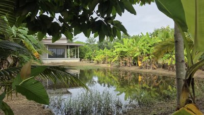 บ้านสวนเลียบถนนคลองชลประทาน บ้านสวนเลียบถนนคลองชลประทาน