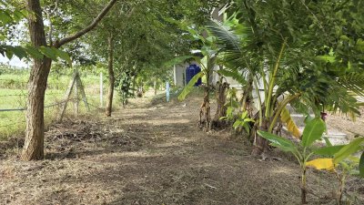 บ้านสวนเลียบถนนคลองชลประทาน