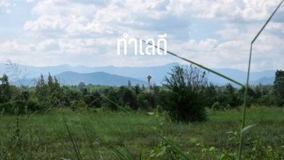 ที่ดินสวนผึ้งทำเลติดถนน ใกล้รพ.สวนผึ้ง และตลาดป่าหวาย 28 ไร่ ที่ดินสวนผึ้งทำเลติดถนน ใกล้รพ.สวนผึ้ง และตลาดป่าหวาย 28 ไร่