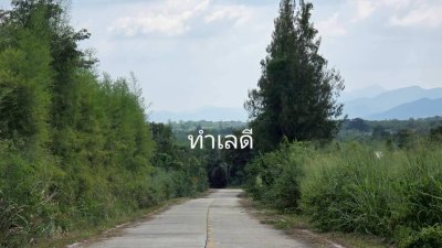 ที่ดินสวนผึ้งทำเลติดถนน ใกล้รพ.สวนผึ้ง และตลาดป่าหวาย 28 ไร่