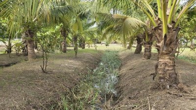 บ้านสวนเลียบถนนคลองชลประทาน บ้านสวนเลียบถนนคลองชลประทาน