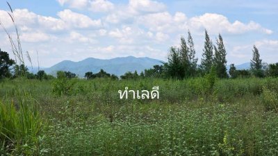 ที่ดินสวนผึ้งทำเลติดถนน ใกล้รพ.สวนผึ้ง และตลาดป่าหวาย 28 ไร่