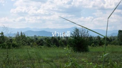 ที่ดินสวนผึ้งทำเลติดถนน ใกล้รพ.สวนผึ้ง และตลาดป่าหวาย 28 ไร่