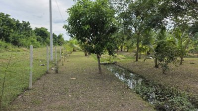 บ้านสวนเลียบถนนคลองชลประทาน บ้านสวนเลียบถนนคลองชลประทาน