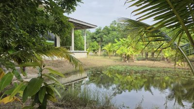 บ้านสวนเลียบถนนคลองชลประทาน บ้านสวนเลียบถนนคลองชลประทาน