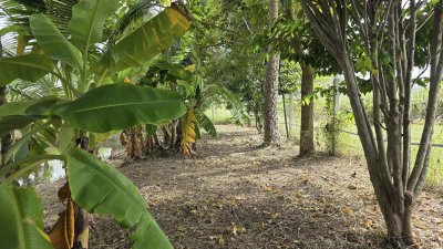 บ้านสวนเลียบถนนคลองชลประทาน บ้านสวนเลียบถนนคลองชลประทาน