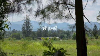 ที่ดินสวนผึ้งทำเลติดถนน ใกล้รพ.สวนผึ้ง และตลาดป่าหวาย 28 ไร่