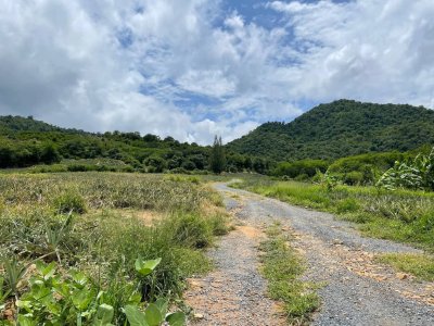 ขายที่ดินไร่ละ 90,000 บาท ห่างถนนลาดยาง 1.5 กม.