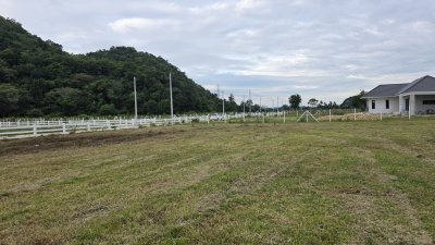 ที่ดินโฉนดวิวเขารอบ 2 ไร่ ราคา 1.8ล้าน ฟรีโอน