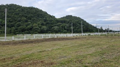 ที่ดินโฉนดวิวเขารอบ 2 ไร่ ราคา 1.8ล้าน ฟรีโอน