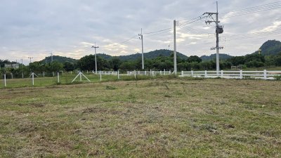 ที่ดินโฉนดวิวเขารอบ 2 ไร่ ราคา 1.8ล้าน ฟรีโอน