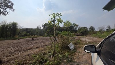 ขายถูก ขายเหมายกแปลง 4ไร่ 2งาน 38ตร.วา ราคา 950,000.-