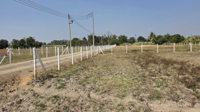 ที่ดิน 1 ไร่ ราคา 620,000.- พร้อมโอน