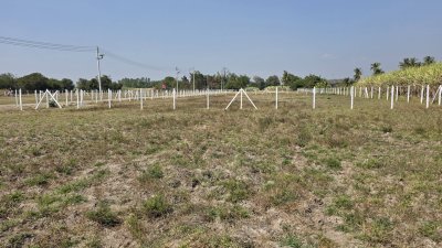 ที่ดินหน้ากว้างติดถนนหินคลุก 93ม. ล้อมรั้ว ไฟฟ้า น้ำประปา