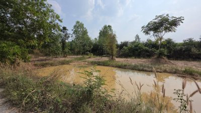 ขายถูก ขายเหมายกแปลง 4ไร่ 2งาน 38ตร.วา ราคา 950,000.-