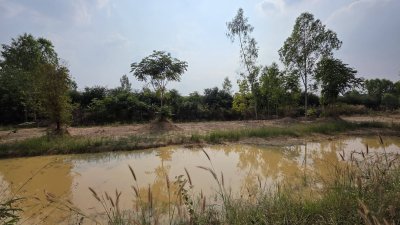 ขายถูก ขายเหมายกแปลง 4ไร่ 2งาน 38ตร.วา ราคา 950,000.-