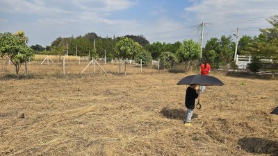 ที่ดินวิวเขา ไม่มีประวัติน้ำท่วม 1 ไร่ ราคา 870,000.-