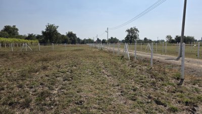 ที่ดิน 1 ไร่ ราคา 620,000.- พร้อมโอน