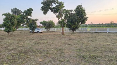 ที่ดินใกล้รพ. และตลาด 5นาที ต.จอมบึง อ.จอมบึง จ.ราชบุรี