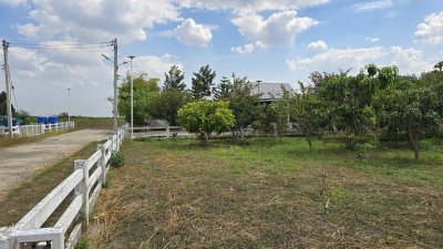 ที่สวนมะม่วง 350 ตร.วา มีน้ำประปา+ไฟฟ้า ใกล้ถนนทางหลวงชนบท