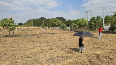 ที่ดินวิวเขา ไม่มีประวัติน้ำท่วม 1 ไร่ ราคา 870,000.-