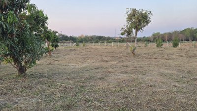 ที่ดินใกล้รพ. และตลาด 5นาที ต.จอมบึง อ.จอมบึง จ.ราชบุรี