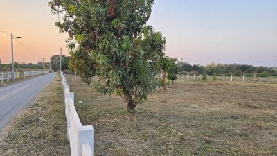 ที่ดินใกล้รพ. และตลาด 5นาที ต.จอมบึง อ.จอมบึง จ.ราชบุรี