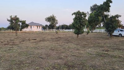 ที่ดินใกล้รพ. และตลาด 5นาที ต.จอมบึง อ.จอมบึง จ.ราชบุรี