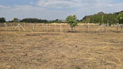 ที่ดินวิวเขา ไม่มีประวัติน้ำท่วม 1 ไร่ ราคา 870,000.-