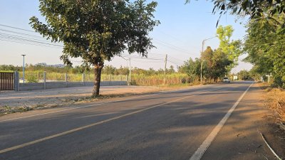 ที่ดินติดถนนทางหลวง เขตชุมชน ท้ายแปลงติดโรงเรียนประถม