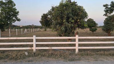 ที่ดินใกล้รพ. และตลาด 5นาที ต.จอมบึง อ.จอมบึง จ.ราชบุรี