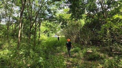 ท๊อปวิว ตั้งแคมป์ลานกางเต้นท์ บ้านพักตากอากาศ บ้าน 2หลัง