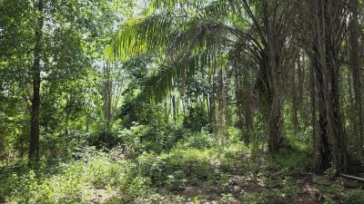 ท๊อปวิว ตั้งแคมป์ลานกางเต้นท์ บ้านพักตากอากาศ บ้าน 2หลัง