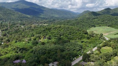 ท๊อปวิว ติดถนนทางหลวง 20ไร่ 8.5ล้าน ต.สวนผึ้ง อ.สวนผึ้ง จ.ราชบุรี