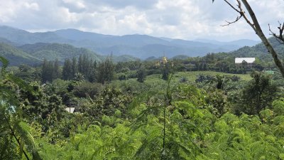 ท๊อปวิว ตั้งแคมป์ลานกางเต้นท์ บ้านพักตากอากาศ บ้าน 2หลัง