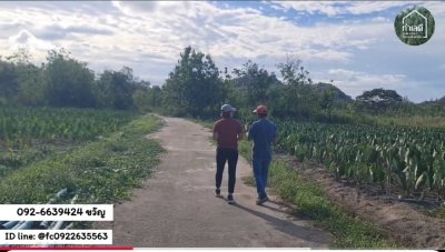 ที่ดินโฉนด อ.สวนผึ้ง ติดถนนหลัก เส้นทางหลวงแผ่นดินสายชัฎป่าหวาย-โป่งกระทิง