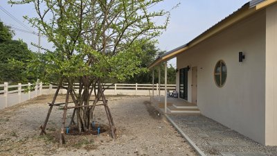 บ้าน 150 ตร.วา 2 ห้องนอน 1 ห้องน้ำ มีลีฟวิ่งรูมและส่วนครัวทันสมัย