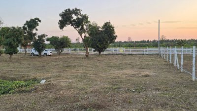 ที่ดินใกล้รพ. และตลาด 5นาที ต.จอมบึง อ.จอมบึง จ.ราชบุรี