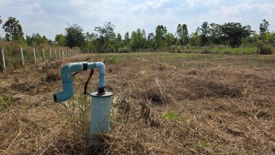 ที่ดินปรับถมแล้ว 300ตร.วา 490,000.- ต.รางบัว อ.จอมบึง จ.ราชบุรี