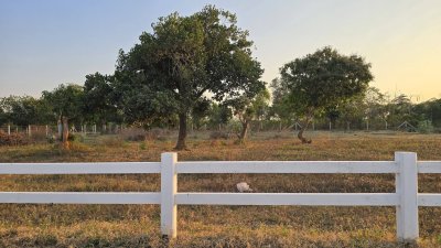 ที่ดินทำเลติดถนนทางหลวงซอยรพ.สมเด็จพระยุพราชจอมบึง เลี้ยวเข้าซอยข้างร.พ. 2กม.