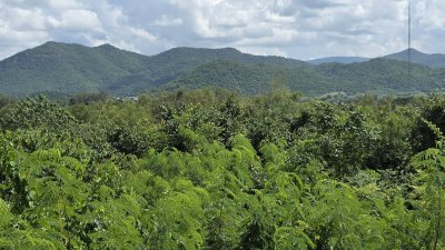 ท๊อปวิว ตั้งแคมป์ลานกางเต้นท์ บ้านพักตากอากาศ บ้าน 2หลัง