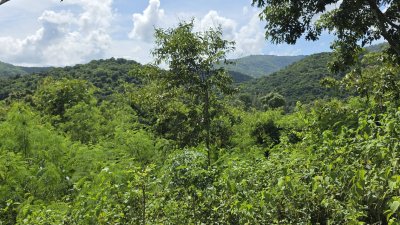 ท๊อปวิว ตั้งแคมป์ลานกางเต้นท์ บ้านพักตากอากาศ บ้าน 2หลัง