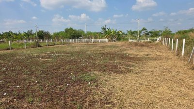 ที่ดินปรับถมแล้ว 300ตร.วา 490,000.- ต.รางบัว อ.จอมบึง จ.ราชบุรี